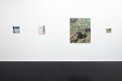 Jenny Brillhart, Installation view, Kuckei + Kuckei 2024, Photo: Thomas Bruns