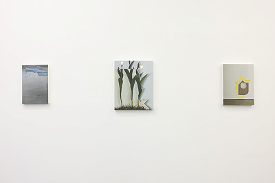 Jenny Brillhart, Installation view, Kuckei + Kuckei 2024, Photo: Thomas Bruns