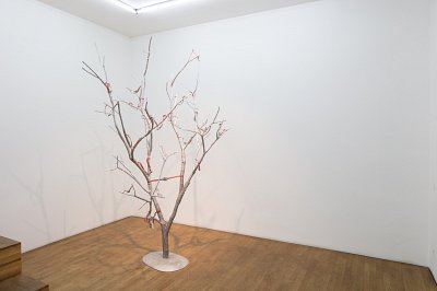 S_AKE, Oliver van den Berg, installation view Kuckei + Kuckei, 2017