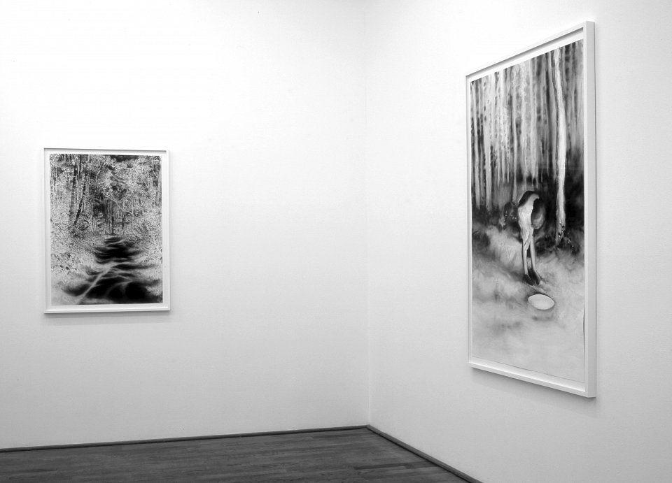 <p>installation view, Kuckei + Kuckei, 2009</p>