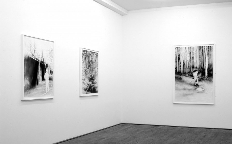 <p>installation view, Kuckei + Kuckei, 2009</p>