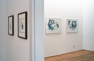 installation view, Kuckei + Kuckei, 2009