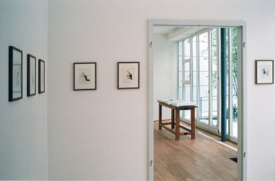 installation view, Kuckei + Kuckei, 2009