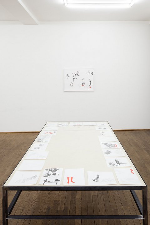 <p><em>FadenSpiele</em>, installation view, Kuckei + Kuckei, 2012</p>