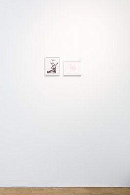 Urbanlandscapes, installation view, 2017