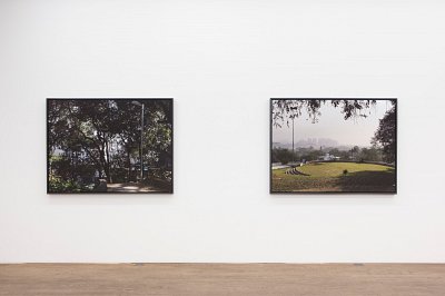 Second Nature, installation view, Kuckei + Kuckei, 2012