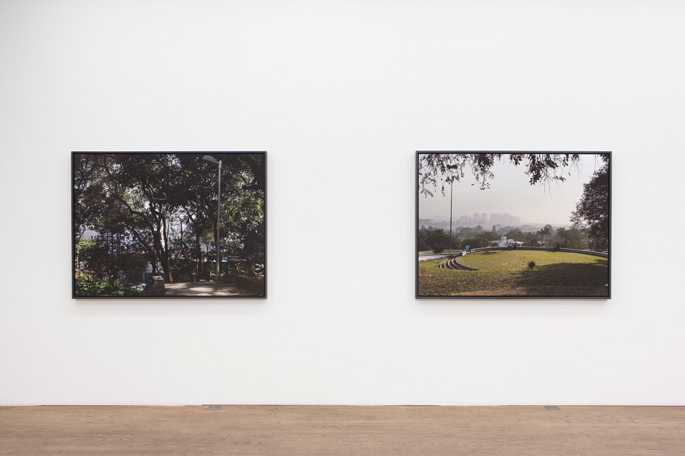 <p><em>Second Nature</em>, installation view, Kuckei + Kuckei, 2012</p>