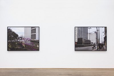 Second Nature, installation view, Kuckei + Kuckei, 2012