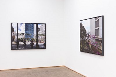 Second Nature, installation view, Kuckei + Kuckei, 2012