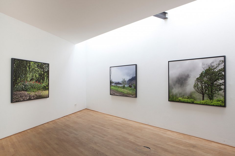 <p><em>Second Nature</em>, installation view, Kuckei + Kuckei, 2012</p>