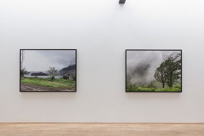 Second Nature, installation view, Kuckei + Kuckei, 2012