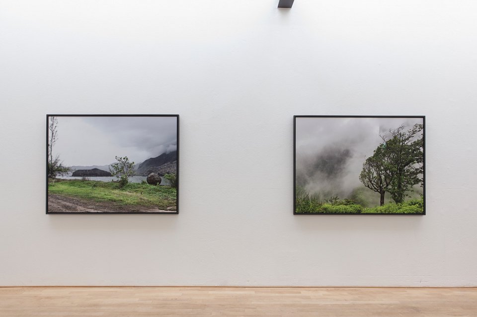 <p><em>Second Nature</em>, installation view, Kuckei + Kuckei, 2012</p>