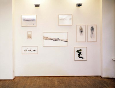 No Jardim, installation view, Kuckei + Kuckei, 2001