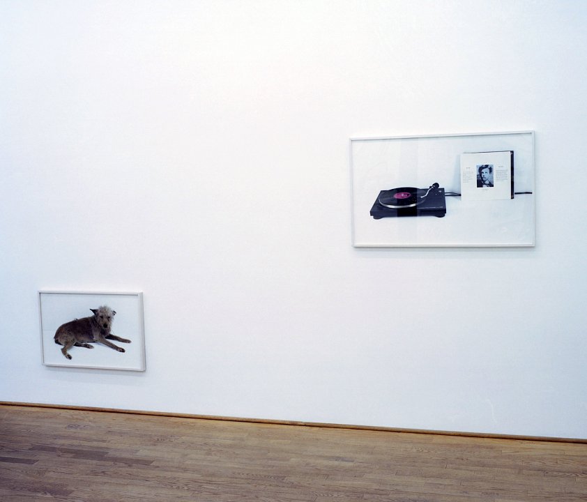 <p><em>In the Future, watch out a little more</em>, installation view, Kuckei + Kuckei, 2008</p>