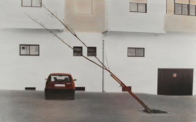 Angefahrener Baum (Castello Branco), 2008
hand-colored b/w silver gelatin print
52,5 × 84 cm, edition 2 + 1 AP