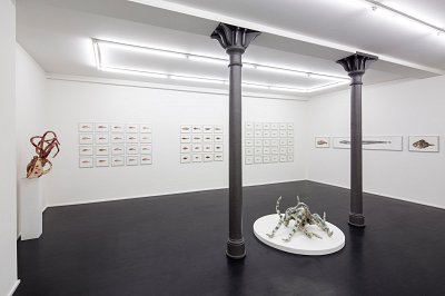 Pour la Soupe – Fische & Cephalopoden, installation view, Kuckei + Kuckei, 2014