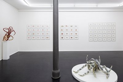 Pour la Soupe – Fische & Cephalopoden, installation view, Kuckei + Kuckei, 2014