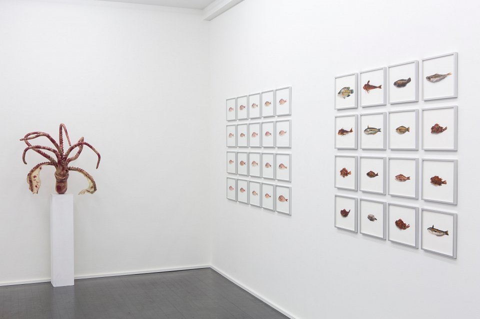 <p><em>Pour la Soupe – Fische & Cephalopoden</em>, installation view, Kuckei + Kuckei, 2014</p>