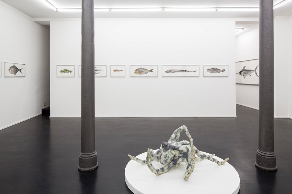 <p><em>Pour la Soupe – Fische & Cephalopoden</em>, installation view, Kuckei + Kuckei, 2014</p>