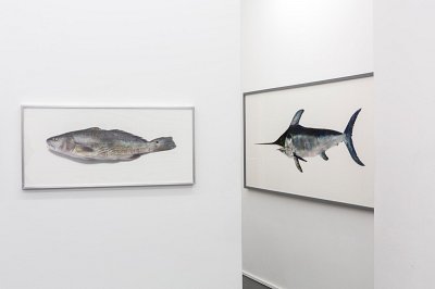 Pour la Soupe – Fische & Cephalopoden, installation view, Kuckei + Kuckei, 2014