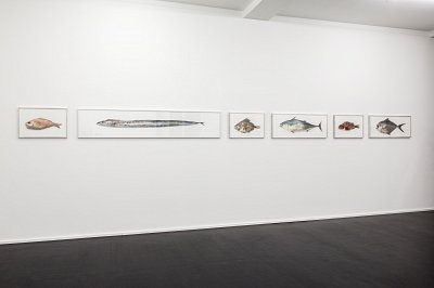 Pour la Soupe – Fische & Cephalopoden, installation view, Kuckei + Kuckei, 2014