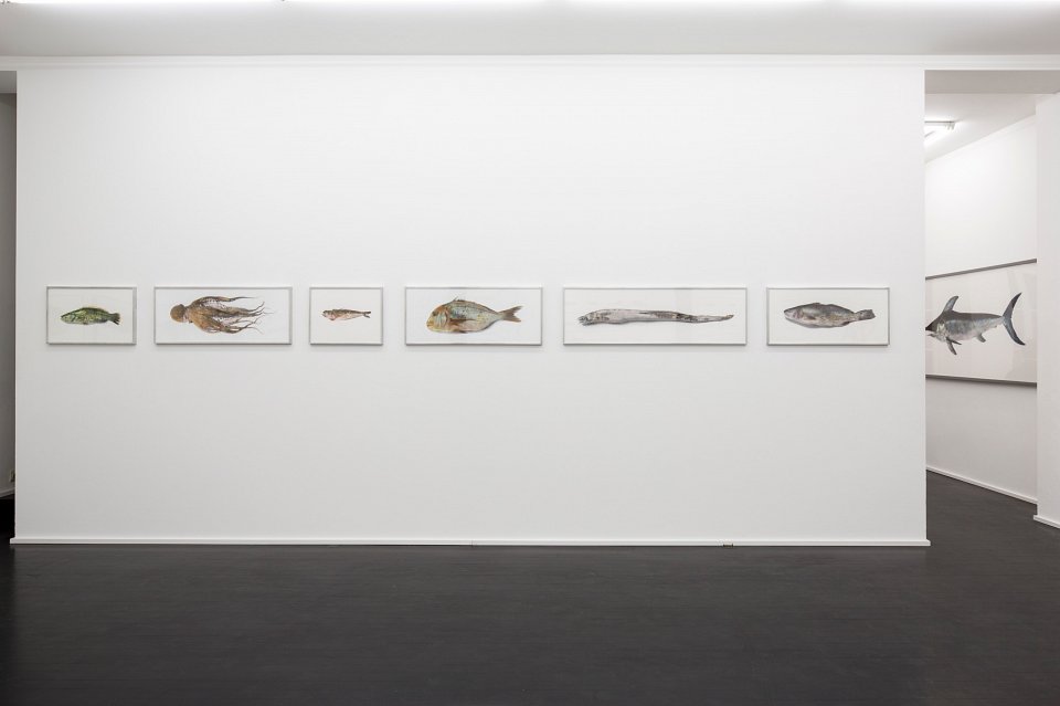 <p><em>Pour la Soupe – Fische & Cephalopoden</em>, installation view, Kuckei + Kuckei, 2014</p>