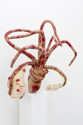 Pour la Soupe – Fische & Cephalopoden, installation view, Kuckei + Kuckei, 2014