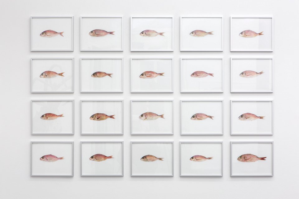 <p><em>Pour la Soupe – Fische & Cephalopoden</em>, installation view, Kuckei + Kuckei, 2014</p>